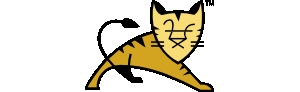 Apache Tomcat Web容器官方下载地址